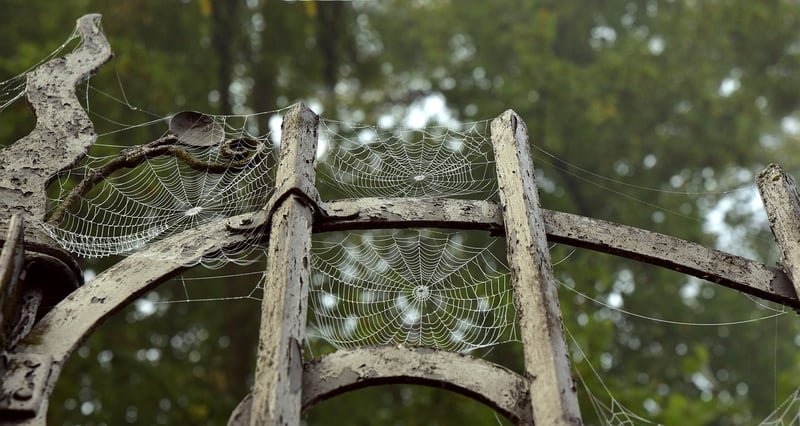Portals